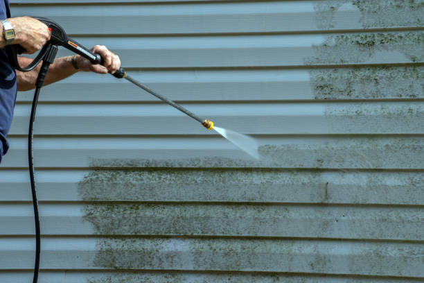 Best Local Pressure Washing Services  in Drew, MS