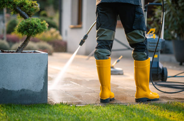 Best Residential Pressure Washing Services  in Drew, MS
